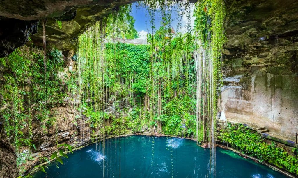 Cenote Mexique : Cenote Ik Kil