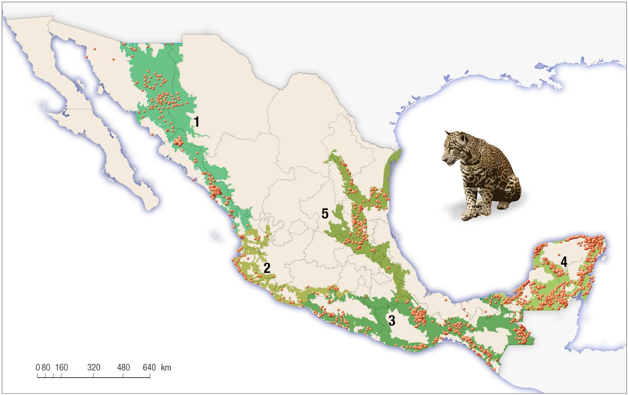 map-jaguar-mexico Map Jaguar Mexico