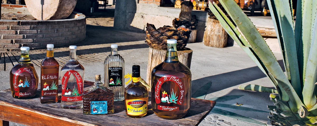 dégustation de mezcal à Oaxaca