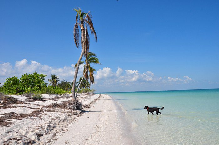 playa-holbox Playa Holbox