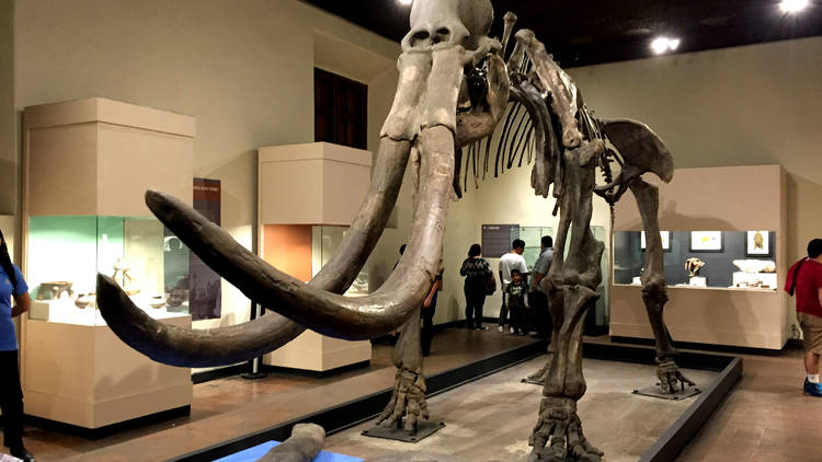 Visiter Guadalajara : Musée Regional 