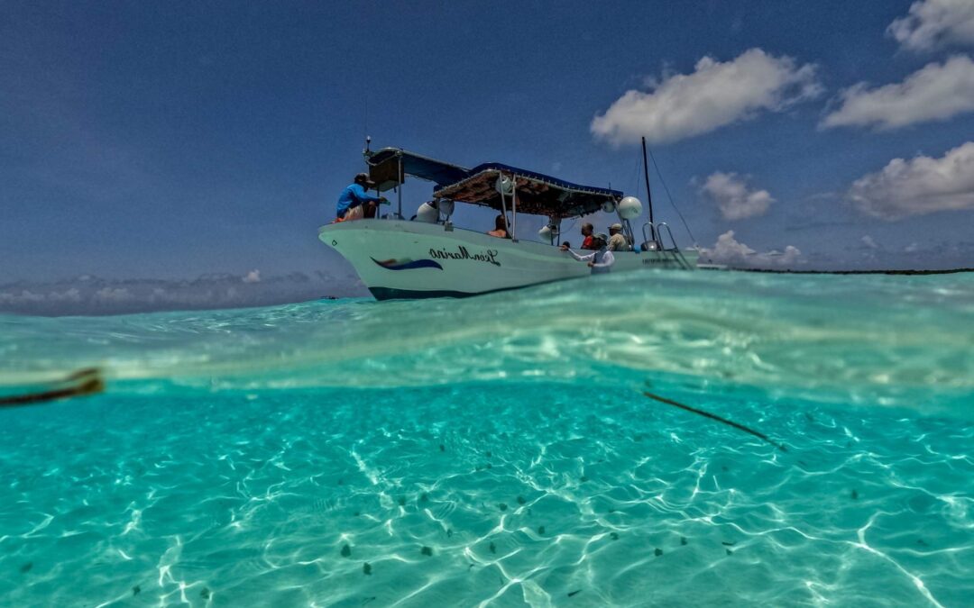 Les 5 meilleures excursions en bateau autour de Playa del Carmen 2026